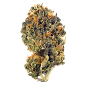 legal thca weed buds flower